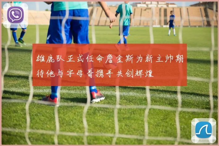 雄鹿队正式任命詹金斯为新主帅期待他与字母哥携手共创辉煌